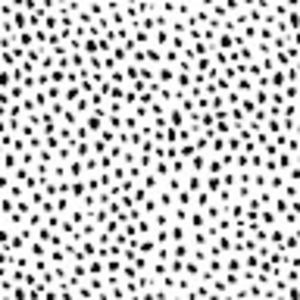 Meet your Posher, Paige